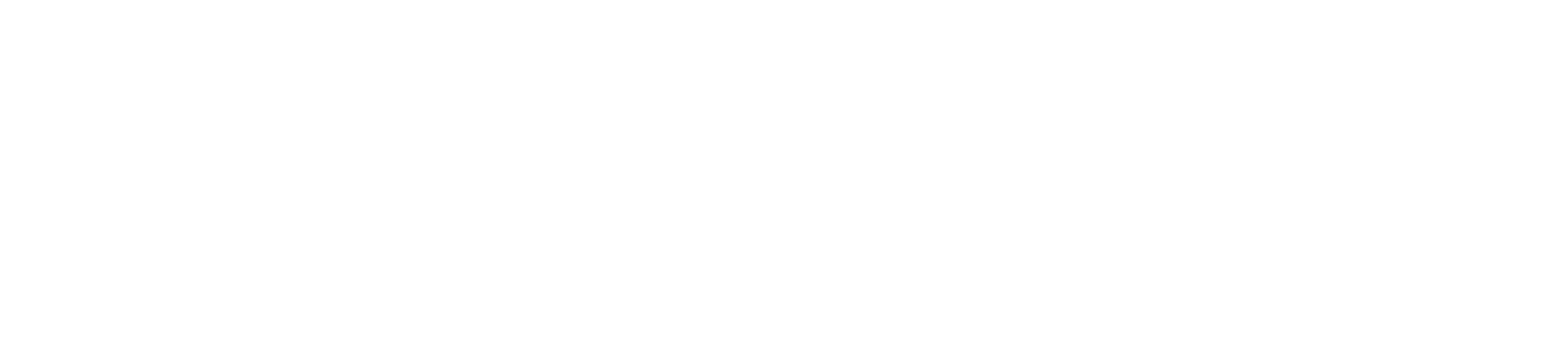 worldpay white logo