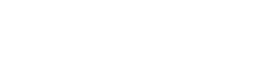 Bravissimo logo